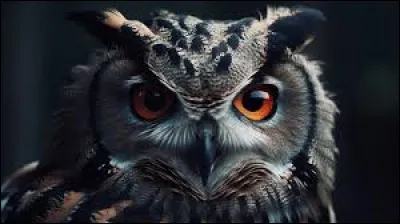 Complétez le titre de cette célèbre chanson de Pierre Perret : "La cage aux...