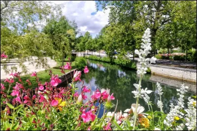 C'est sur son sol qu'a eu lieu en 507, la bataille entre l'armée du roi franc Clovis et celle du roi wisigoth Alaric II, bataille qui a permis à Clovis de chasser les Wisigoths de Gaule. Aujourd'hui, où vivent les 3 693 Vogladiens ?