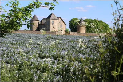 Passons en Vienne, dans ce petit village qui a obtenu en 2017 son 4e papillon bleu la désignant comme Terre saine. Où vivent les 2 452 Rullicois et Rullicoises ?