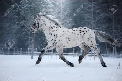 Quelle est cette robe ?