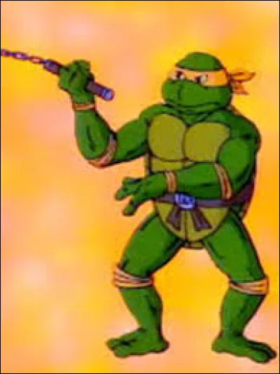 Quel est le nom de cette tortue ninja ?