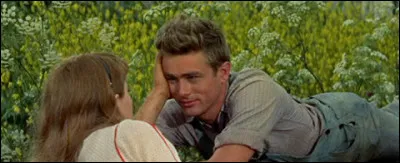 Quel est ce film de Ella Kazan, sorti en 1955 ?