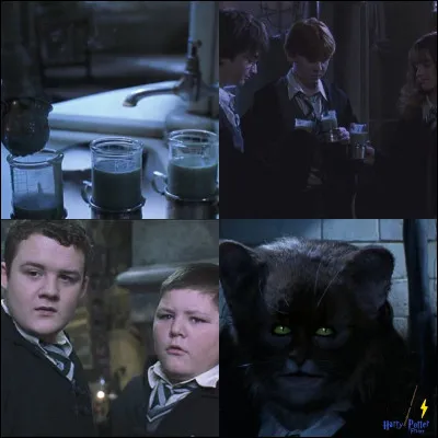 Finalement, quand il a pris le Polynectar, Ron est devenu ...