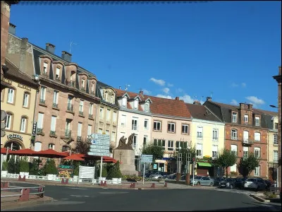 Dans quel département français se situe la ville de Senones ?