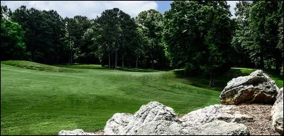 Lequel de ces mots est un palindrome ?