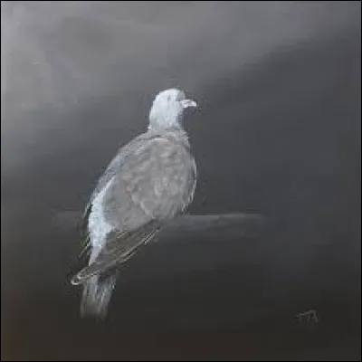 Cest un mec qui sassoit sur un banc cinq minutes avec une meuf, et v'là-t'y pas quil lui serre ses ptits doigts ! Ben voyons !