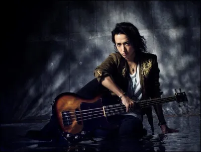 Laquelle de ces basses n'appartient pas &agrave; AKi ?