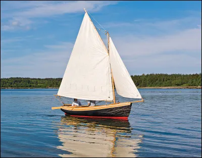 "Rock The Boat" est un titre de :