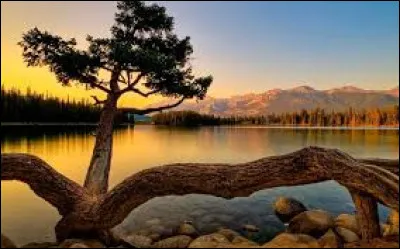 Comment vais-je m'isoler de dehors ?