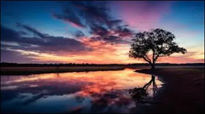 Qu'a-t-il pris le risque de fortement abîmer ?