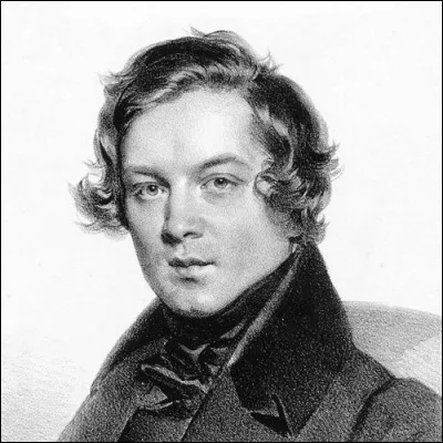 Pourquoi Robert Schumann est-il devenu compositeur ?