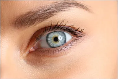 Quelle est l'origine du proverbe suivant ? 
"Si perçante soit la vue, on ne se voit jamais de dos."