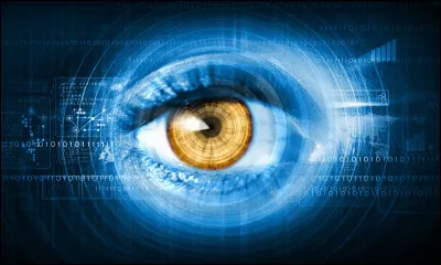 Lequel de ces mots n'est pas un synonyme du mot "vue" ?