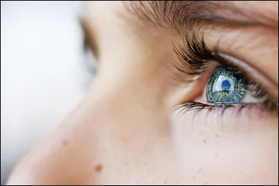 Complétez l'expression : 
"L'amour rend aveugle, ______ rend la vue.