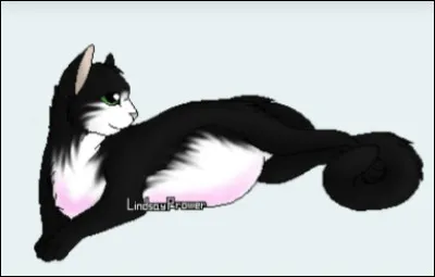 Qui a eu pour deuxième compagnon Plume de Laine ?