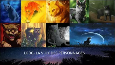 Alors, qui est le personnage mystère ?