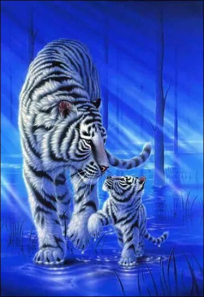 Plus tard, tu as un compagnon, et vous avez deux chatons ensemble. Une femelle et un mâle ; tu les appelles :