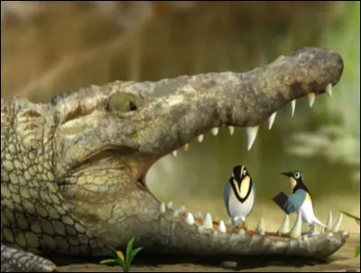 Qu'est-ce que la symbiose ?