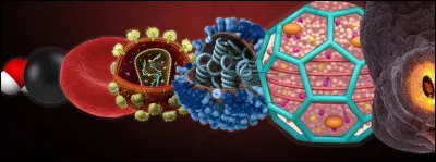 Quel est le nom de la plus petite unité de matière ?