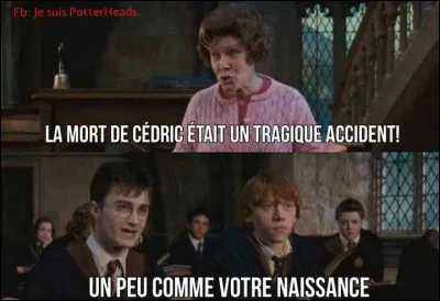 La fille est une beauté attirante au Tournoi des Trois Sorciers...