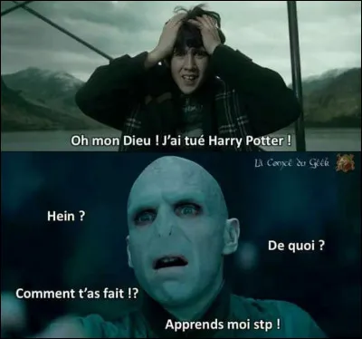 Il fut tué par Voldemort mais aimé par une fille chinoise...