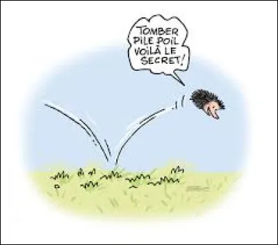 Que signifie l'expression "Tomber pile poil" ?