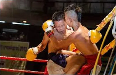 Quel est le sport national au Laos ?