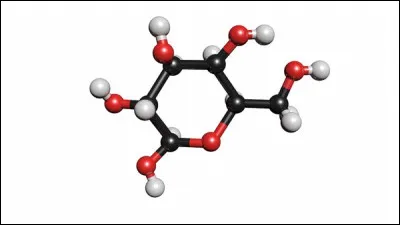 Combien peut-on compter d'atomes dans une molécule de glucose (C₆H₁₂O₆) ?