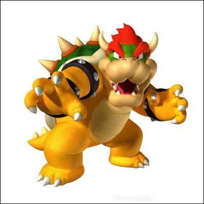 Le clbre Roi des Koopa du nom de ?