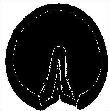 A quel animal appartient cette empreinte ?