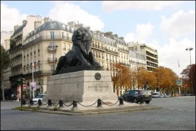 Saurez-vous reconnaître...