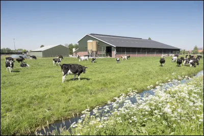 Qui chante "La Ferme du bonheur" en 1964 ?