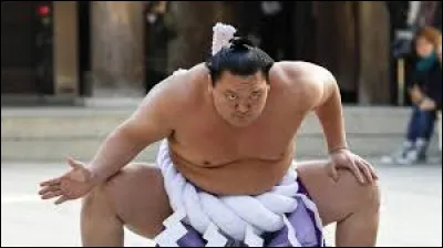 Quel sport pratique ce gros monsieur ?