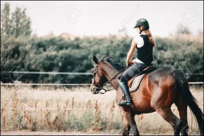 Comment décrirais-tu ta relation avec un cheval ou un poney ?