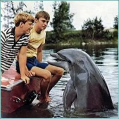 "Flipper le dauphin" : qui étaient les deux enfants de Mr. Ricks, directeur de la réserve marine où évoluait Flipper ?