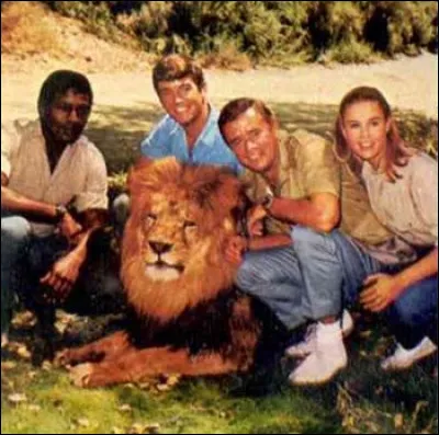 "Daktari" : quel était le nom du bon docteur ?