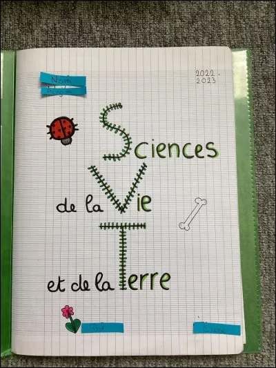 SVT - L'homme est un :