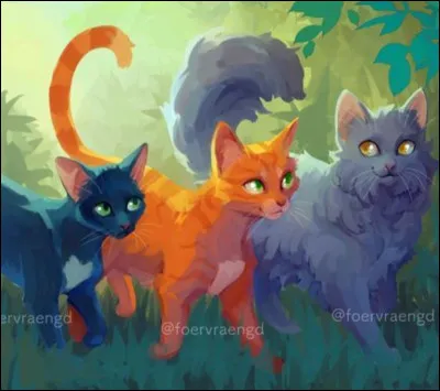 Pendant leur périple, il soppose à lidée de Plume Filante, qui veut tuer Moineau.