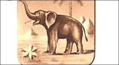 Lequel de ces livres de Joseph Conrad est sorti en 1923 ?