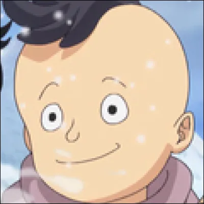 Qui est cet enfant de Punk Hazard ?