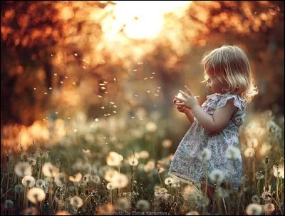 Quel service de la protection de l'enfance centralise et organise le recueil, le traitement et l'évaluation de l'ensemble des informations préoccupantes qui lui sont adressées ?