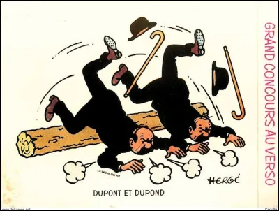 Quelle est la différence entre Dupont et Dupond ?