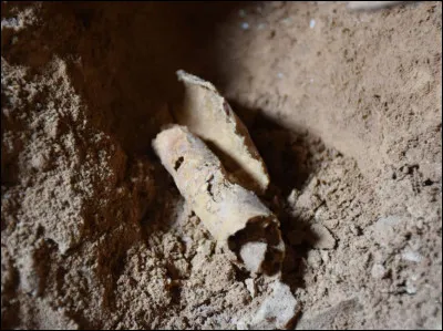 La grimpette, en montagne, exige souvent des moments d'escalade, là, une pierre s'est détachée de la roche découvrant une cavité dans laquelle se trouve un isopet. Qu'avez-vous découvert ?