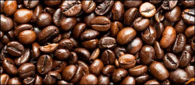 De retour d'un ch'nord, ferez-vous honneur à la bistouille ?