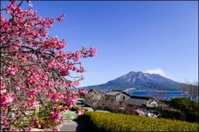 Où se situe Kagoshima ?