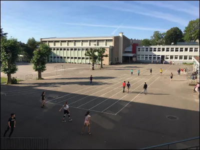 Quelles sont tes matières préférées ?