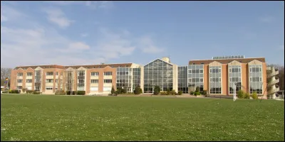 Combien de fois as-tu pleuré à lécole ?