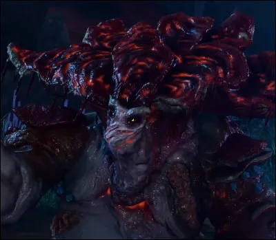 Qui est ce champignon ?