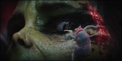 Quel personnage de cette liste n'est pas infecté par une larve illithid ?