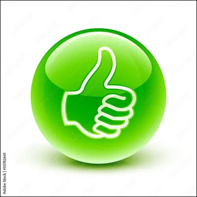 Quelle est ta principale qualité ?